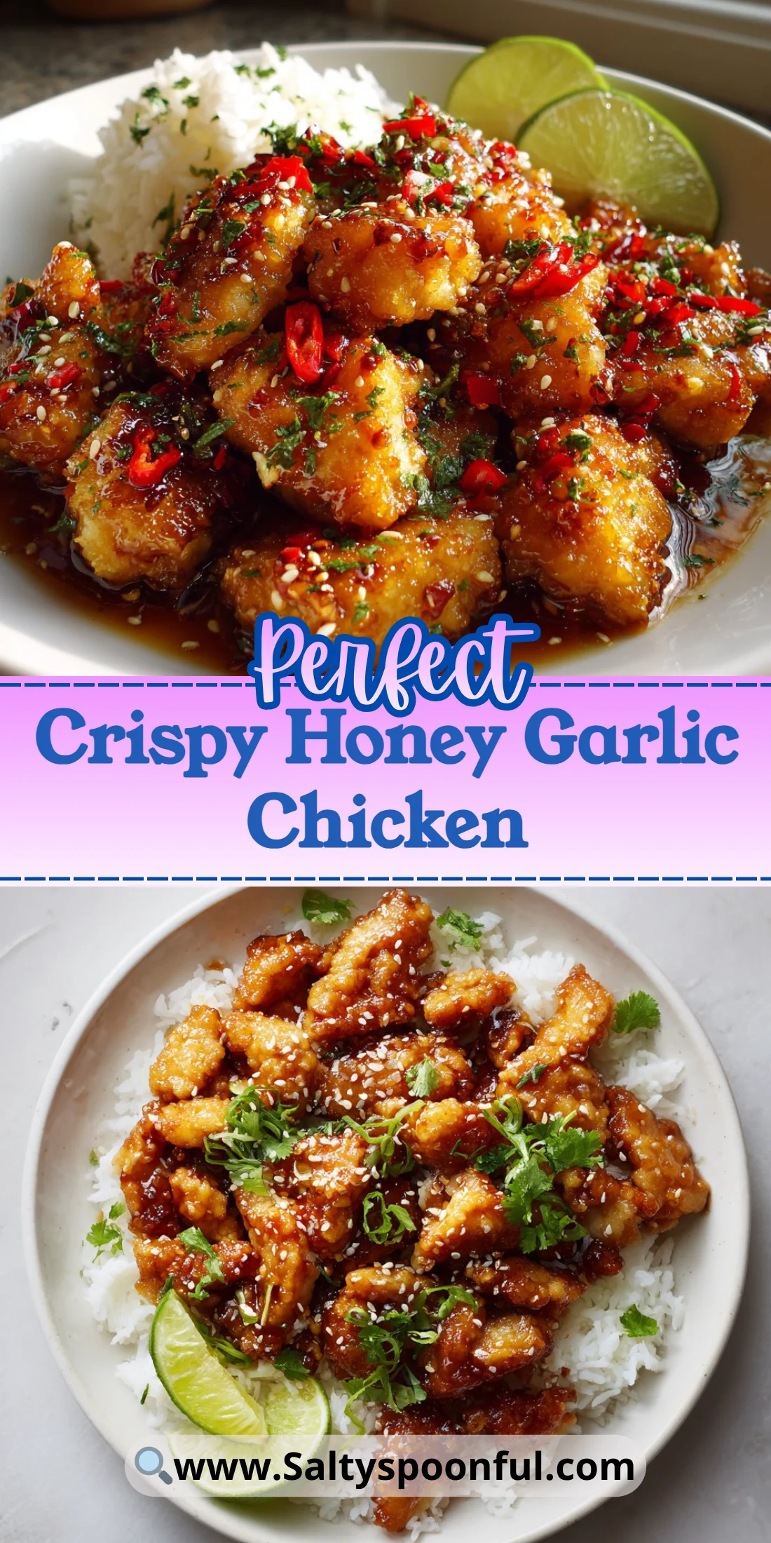 Crispy Honey Garlic Chicken
