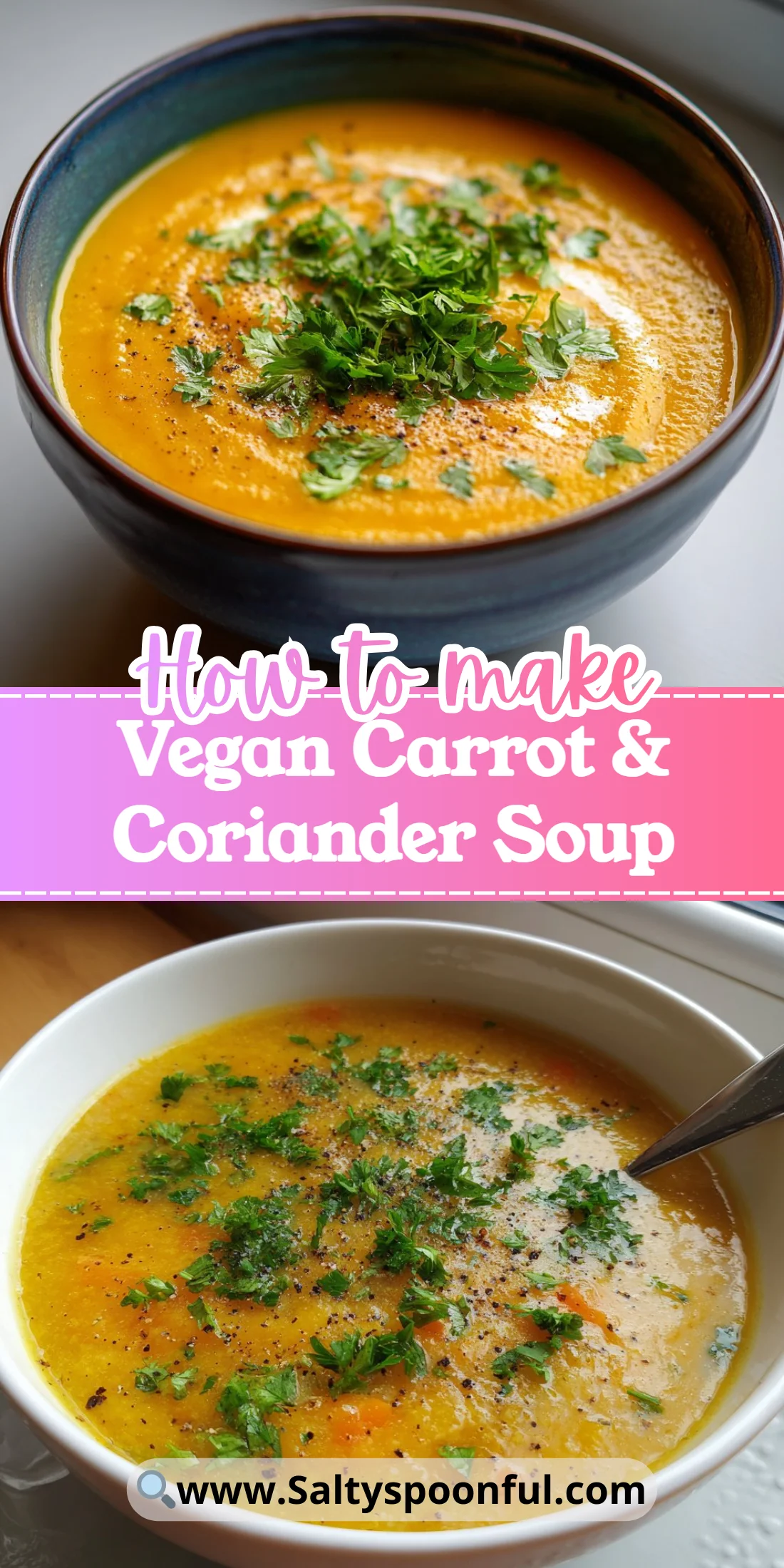 Vegan Carrot & Coriander Soup