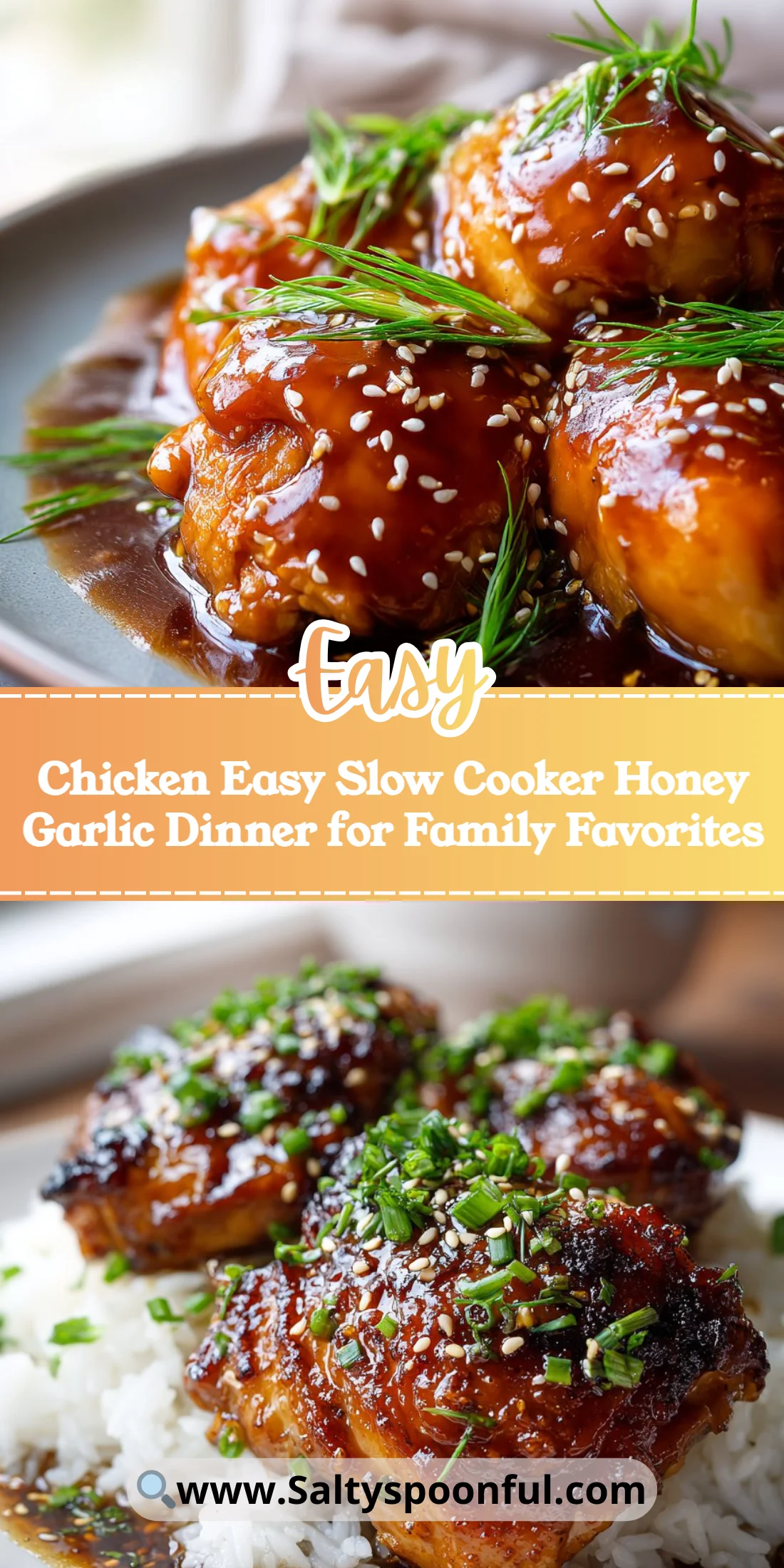 Chicken Easy Slow Cooker Honey Garlic Dinner for Family Favorites